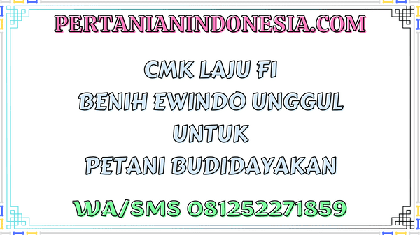 CMK Laju F1 Benih Ewindo Unggul Untuk Petani Budidayakan